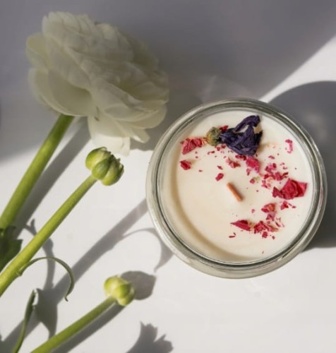 Piwonia z granatem_1.jpg